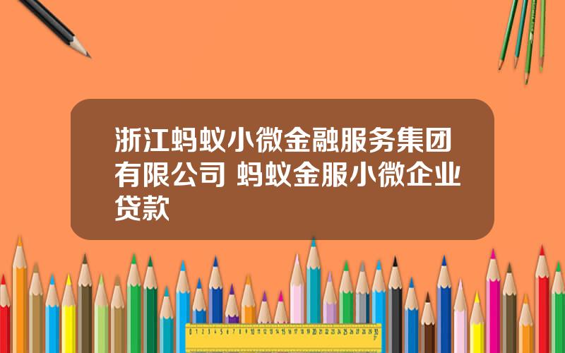 浙江蚂蚁小微金融服务集团有限公司 蚂蚁金服小微企业贷款